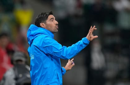 Abel Ferreira, DT de Palmeiras