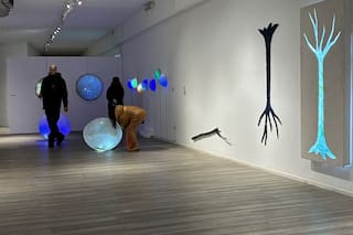 Claudia Aranovich expone obras de una década en la Galería del Rojas