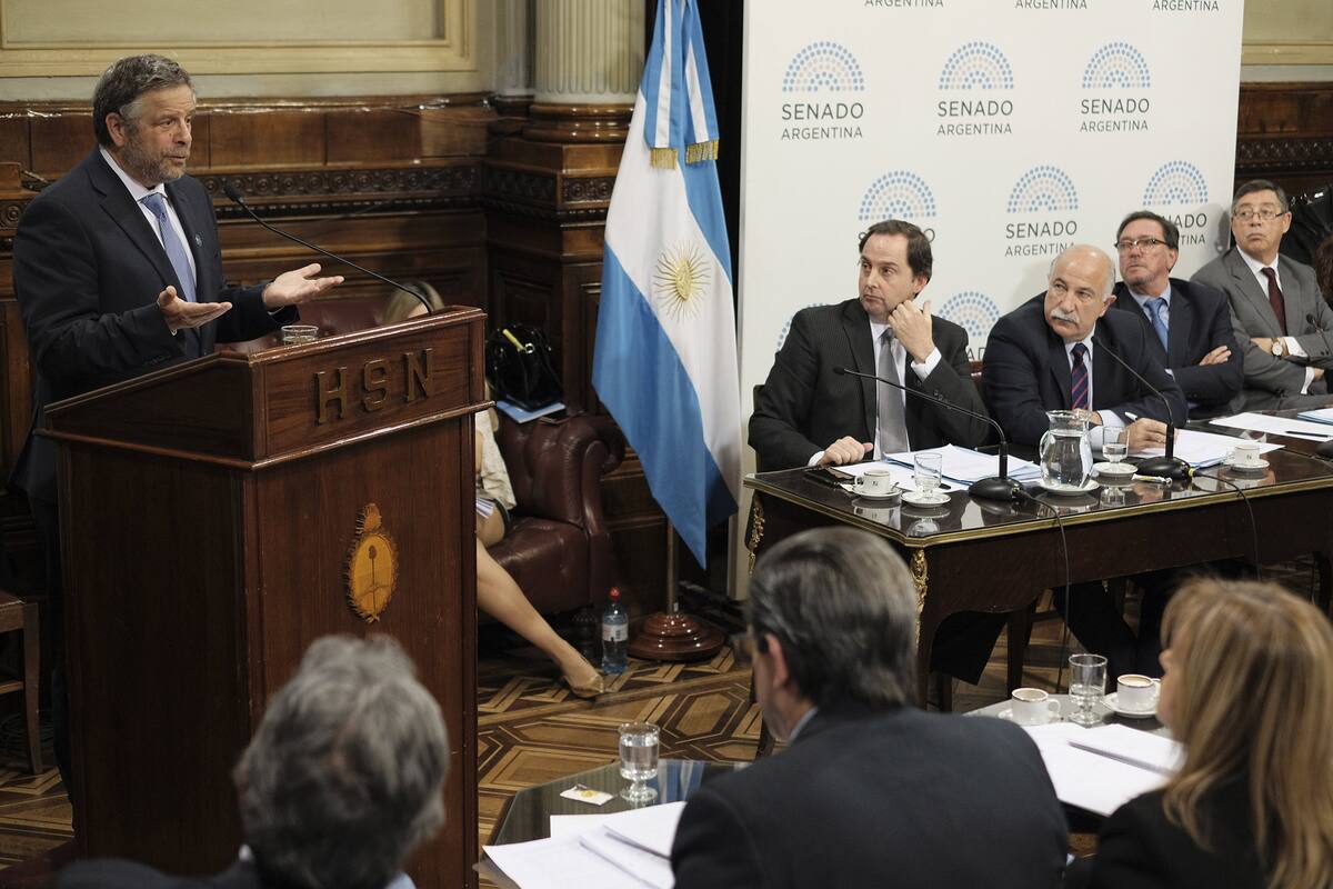 Aborto, Senado, ministro de Salud Adolfo Rubinstein
