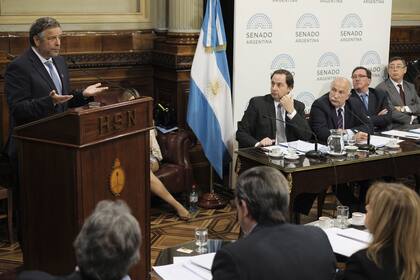 Aborto, Senado, ministro de Salud Adolfo Rubinstein