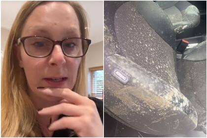 Abrió la puerta de su auto y lo encontró cubierto de lo que menos imaginaba