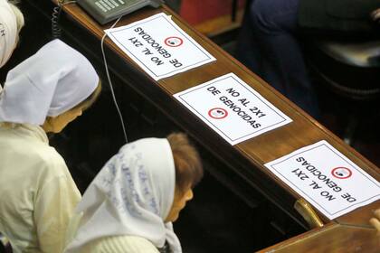 Abuelas de Plaza de Mayo en el Congreso en contra del 2x1