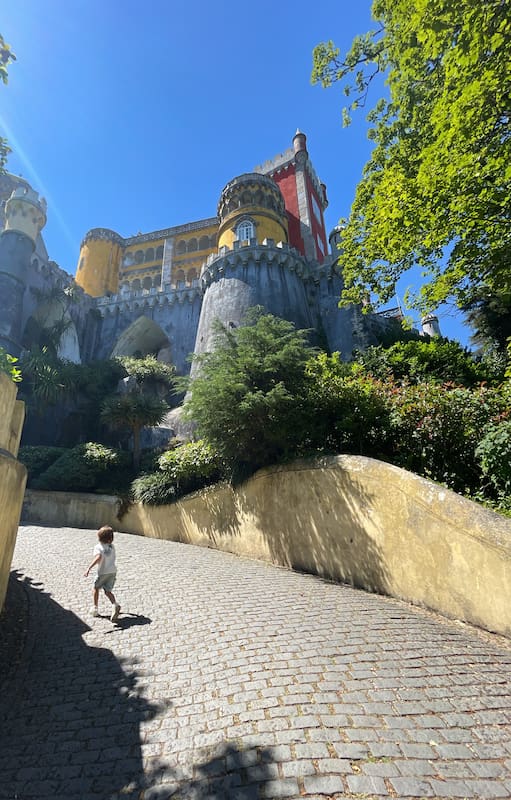 Acceso al Palacio da Pena.