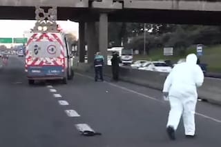 Una mujer intentó cruzar a pie la Panamericana, fue atropellada y murió