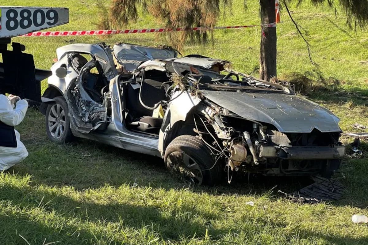 Accidente fatal en la Panamericana: el conductor estaba alcoholizado cuando perdió el control del auto