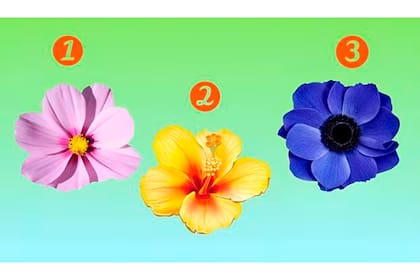 Acertijo: conocé qué tan enamorado estás de acuerdo a la flor que elijas en la imagen