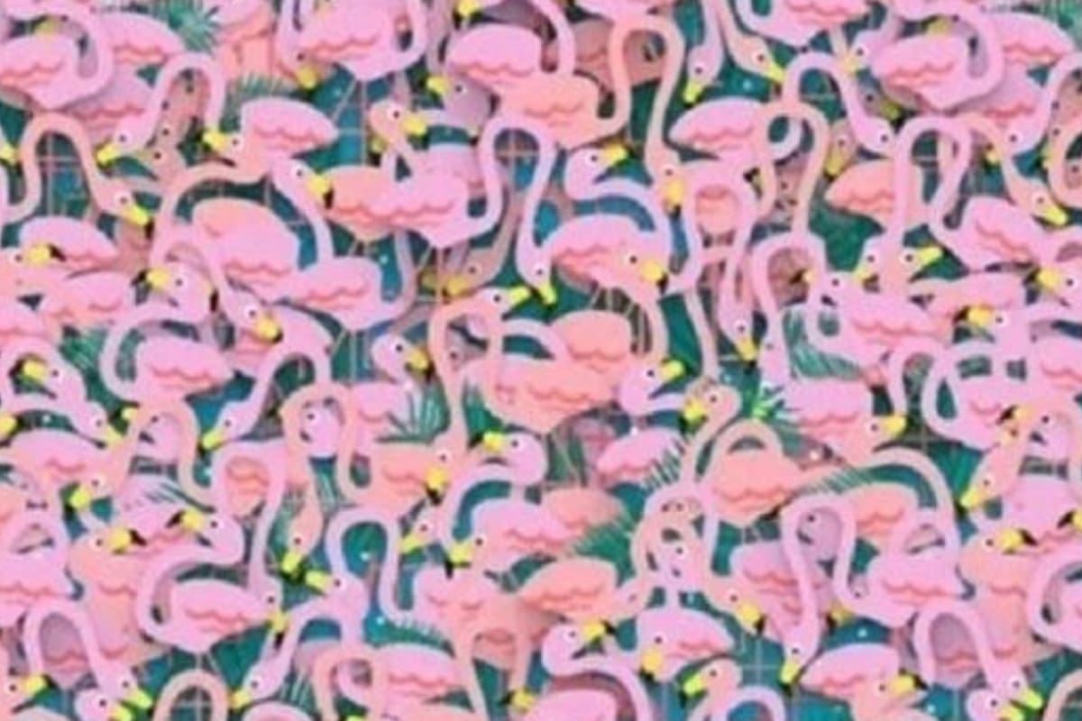 Acertijo visual para expertos: encuentra la bailarina en tan solo 5 segundos