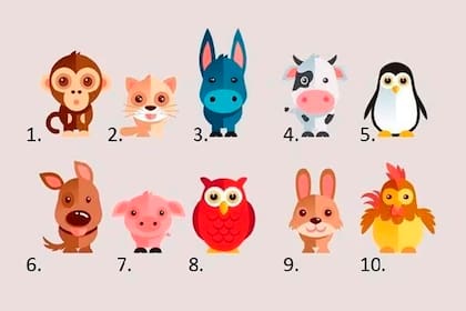 Acertijos: elegí cuál es el animal que más te representa y descubrí detalles sobre tu personalidad