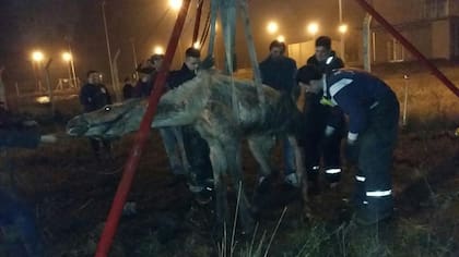 ACMA lo ayudó a pararse por última vez
