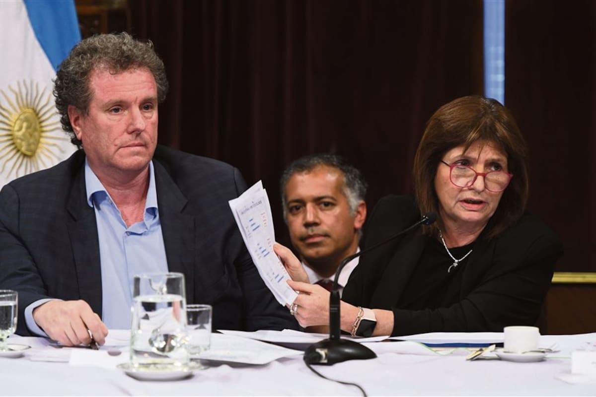 Acompañada por Milman, la ministra Bullrich expuso ante una comisión bicameral