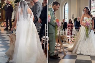 Billy acompañó y entregó a su dueña en el altar cuatro días antes de despedirse para siempre