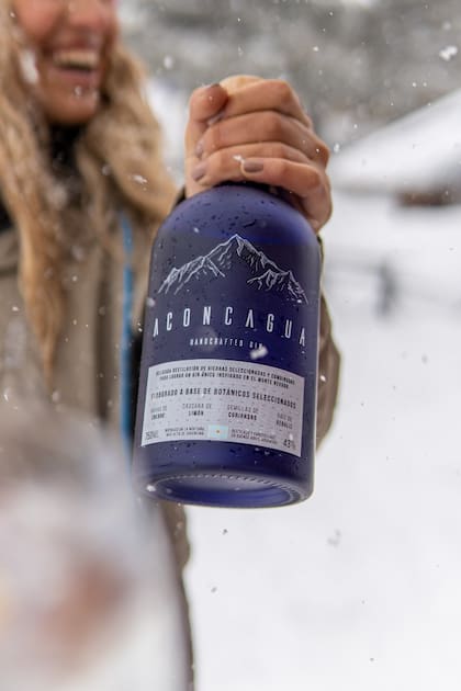Aconcagua London Dry Gin