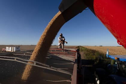 Acopiadores hicieron una fuerte crítica a los exportadores