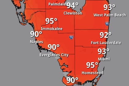 Activan alerta por las altas temperaturas en el sur de Florida