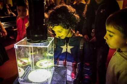 Actividades especiales para chicos curiosos