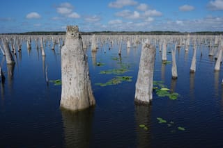 Activistas buscan abrir represa en Florida para unificar dos ríos