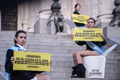 Activistas de Greenpeace fueron detenidos tras realizar una acción directa sobre el ingreso principal del Congreso de la Nación
