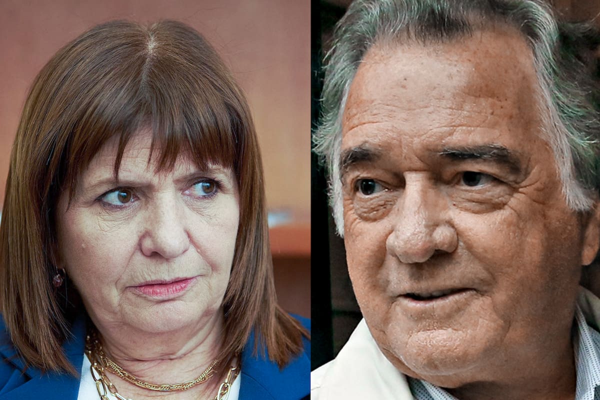 actualidad política, bullrich; barrionuevo
