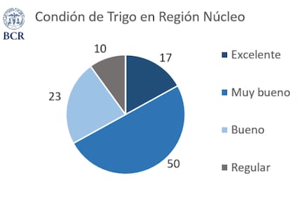 Actualmente, el 23% de los lotes se encuentra en condición buena, el 50% muy buena y el 11% excelente