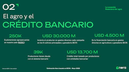 Actualmente existen unas 250.000 explotaciones agropecuarias en el país y cerca de 39.000 productores mantienen deuda con el sistema bancario, que asciende a US$13.700 millones