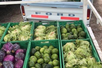 Actualmente, las ONGs sin fines de lucro se encargan de recolectar alimentos y distribuirlos entre las familias más necesitadas (BancodeAlimentos/Archiv0)