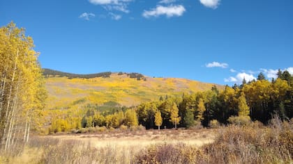 Actualmente, Lucas reside en Colorado (en la foto, un paisaje de Aspen). "Hay clínicas que te afilias gratuitamente y podés tener atención médica de todo tipo por 10 dólares la consulta y los remedios están a precios muy muy bajos (según cuáles, 3 dólares). Te atienden de primera, con instalaciones de primera. Si bien no es para urgencias, al menos podés realizarte todos los controles por muy poco dinero", asegura.