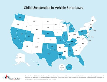 Actualmente, solo 20 estados de los EE. UU. tienen leyes que específicamente prohíben dejar a un niño sin supervisión en un vehículo. (Foto: kidsandcars.org)