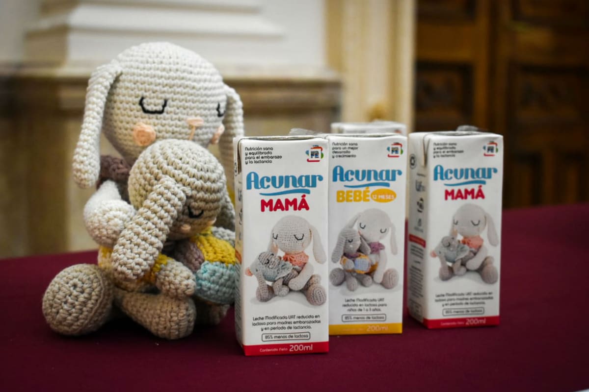 Acunar busca llegar a miles de embarazadas y niños santafesinos