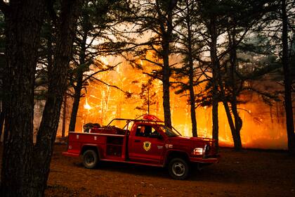 Acusan a segundo adolescente de incendio intencional en área natural Pine Barrens de Nueva Jersey