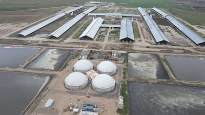 Adecoagro factura unos US$1500 millones