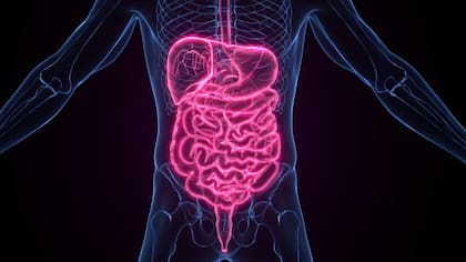 Adelantar la hora de la cena y dejar un intervalo suficiente antes de dormir puede favorecer un mejor control metabólico