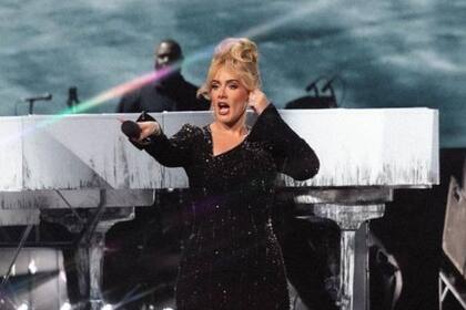 Adele frenó un concierto y arremetió contra un guardia de seguridad para defender a un fan