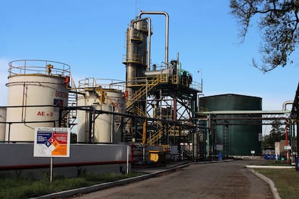 Las productoras de etanol de caña de azúcar quedan algo mejor paradas que las de maíz