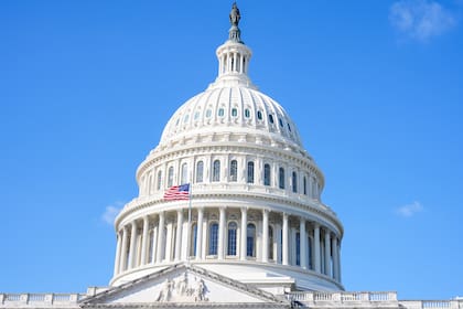 Además de cargos estatales, los votantes de Texas deberán elegir a sus legisladores para el Congreso de EE.UU.