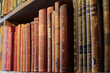 Además de embellecer el entorno, las bibliotecas ayudan con la inspiración creativa