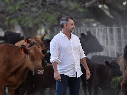 Además de experto parrillero, Christian Petersen es criador de Aberdeen angus
