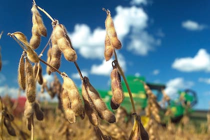 Además de impuestos, un 40,3% se va a cubrir costos de producción