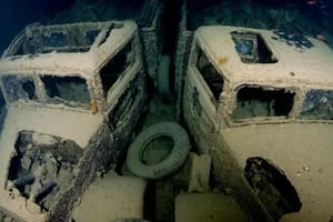 “Además de la exploración del naufragio como una curiosidad histórica, maravilla el alto grado de biodiversidad que genera cada uno de estos ecosistema”, explica Hugo Sorbille