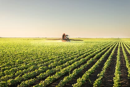 Además de la presión impositiva nacional, otro de los principales reclamos se centra en la carga impositiva provincial, en particular por la suba del Impuesto Inmobiliario Rural, que aumentará un 13,51% en las cuotas 4, 5 y 6, según el decreto provincial 1434/25