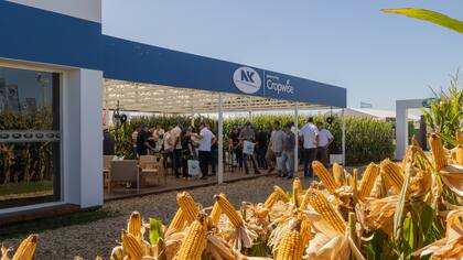 Además de la propuesta genética, los productores encontraron en la actualización del Sistema NK y la plataforma Cropwise, más soluciones integradas según la realidad de cada lote.
