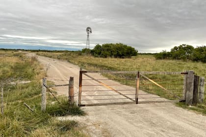 Además de las tradicionales regiones de la pampa húmeda, San Luis también brinda oportunidades