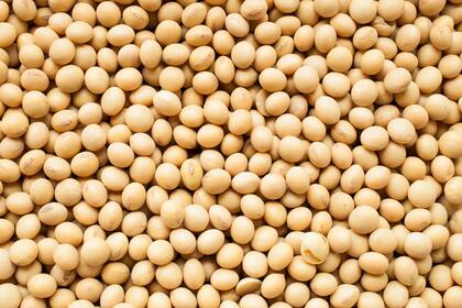 Además de lo productivo, hay pérdida del contenido de proteína