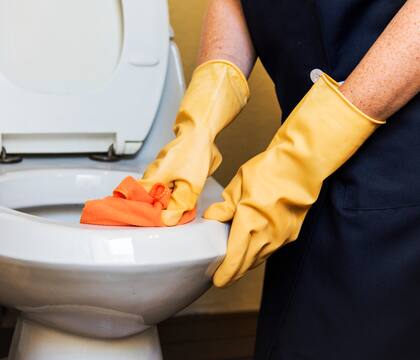 Además de mantener limpias las superficies del inodoro para eliminar los malos olores, muchas veces es recomendado hacer una limpieza en profundidad de las tuberías