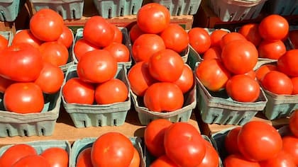 Además de su abundante contenido en vitaminas y minerales, el tomate demostró ser antimicrobiano