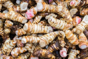 Además de su uso culinario, la galanga se emplea en la medicina tradicional por sus propiedades digestivas y antiinflamatorias.