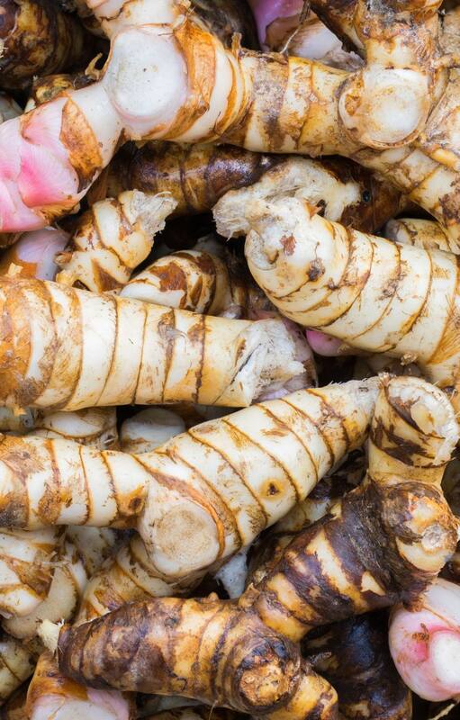 Además de su uso culinario, la galanga se emplea en la medicina tradicional por sus propiedades digestivas y antiinflamatorias.