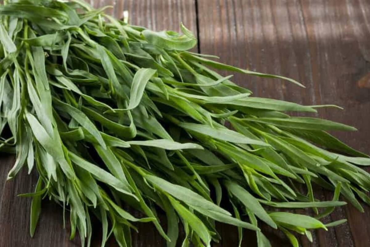 Además de sus cualidades digestivas,el estragón tiene propiedades antiinflamatorias (Pinterest)