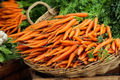 Además del cultivo de otoño, hay especies ideales para sembrar en invierno y disfrutar al llegar la primavera