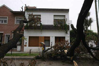 ADENTRO DE CASA. Un frondoso árbol cayó sobre una de las viviendas que rodea a la plaza Henry Dunant, en Mataderos, que quedó cubierta de ramas