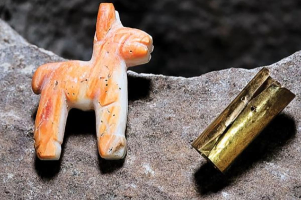 Adentro de la cajita se encontraron diversas ofrendas